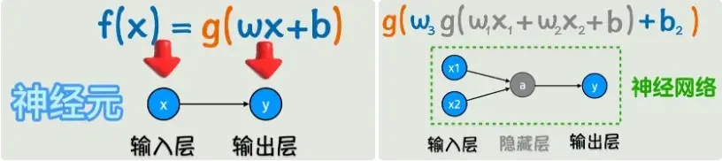 神经元